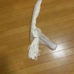 Item thumbnail for item c90be2a0-3841-43a4-b466-d907fe7b85ae