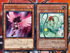 遊戯王　レッド・ノヴァ　ナチュルローズウィップ