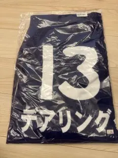トレーニングゼッケンバスタオル　中央競馬 🏇5月発売プライズ商品🏇 【サラブレッドコレクション