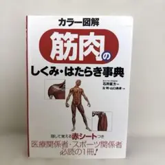 カラー図解筋肉のしくみ・はたらき事典