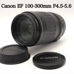 ✨望遠レンズ✨Canon EF 100-300mm F4-5.6 IS USM