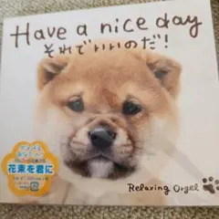 Have a nice day Relaxing Angel