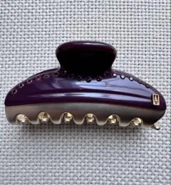 アレクサンドルドゥパリ VENDOME Mクリップ ラインストーン