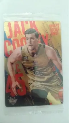 Bリーグ ウエハースカード 琉球ゴールデンキングス ジャック クーリー