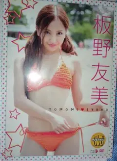 板野友美 ヤングマガジン DVD