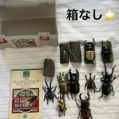 2025年最新】パリーオオクワガタの人気アイテム - メルカリ