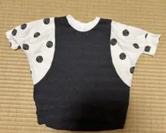 Item thumbnail for item 3b602ec1-5546-4716-93be-3cf8b10c33c3