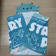 Item thumbnail for item 5f11f9d5-884f-403b-9e5a-7ed1a5806b50