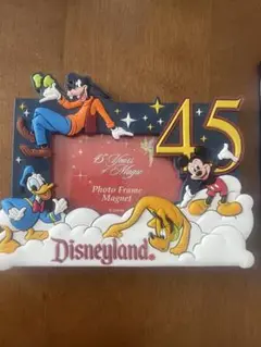 カリフォルニアディズニー　チキルーム　マグネット Disney - カリフォルニアディズニー限定 マグネットの通販 by