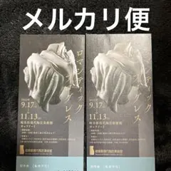 【匿名配送】ロマンティックプログレス 岐阜県現代陶芸美術館 招待券2枚