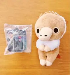 ハリポタ&ファンタビ　グッズセット