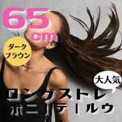 ロングストレートウィッグ マジックテープで巻くだけ ダーク 65cm