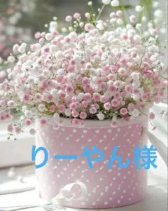 りーやん様 バーバリーセット
