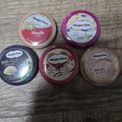 Häagen-Dazs バニラアイスクリーム缶バッチ 5個セット
