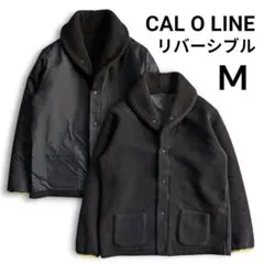 Item thumbnail for item e2d64145-4be8-4500-aa99-0d76cbec6268