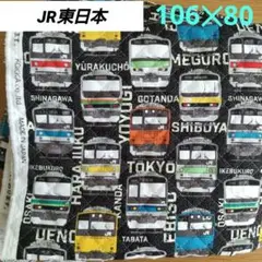 廃盤生地　JR東日本　東京電車　 キルティング生地 約106✕80　電車柄