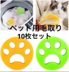 Item thumbnail for item c3ec0e31-c0c7-4d7f-8bb4-ee81578bb33d