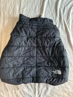 Item thumbnail for item 6bd46139-d46b-4c4d-8253-e4eef8103412