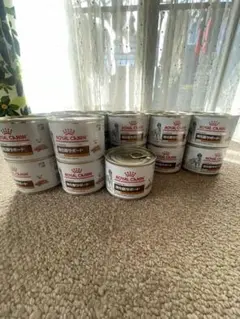 Item thumbnail for item 1ae7f8d0-0de7-47e5-aa25-490df6ebc305