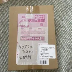 テラスタルフェスBOX未開封