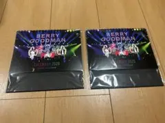 Item thumbnail for item 8171e264-f960-4f46-b627-77e7fd894ab1