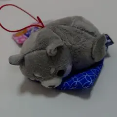 新品 タグ付き 豆しば三兄弟 お座布でまったりVMC タイガ ストラップ