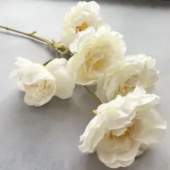 Item thumbnail for item 0d772264-7237-4771-9cd0-a8e89c9a2c87