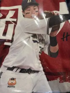 オリックス・バファローズ 廣岡大志 30 コロチャレ B賞