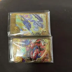 ポケモンフレンダ レガシー　ミライドン　コライドン