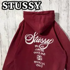 【大人気】STUSSY ステューシー プルオーバーパーカー プリントロゴ