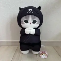 Item thumbnail for item b86ba3df-5f5d-4454-aba9-502bfd97cec3