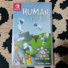 スイッチ ヒューマン フォール フラット ソフト