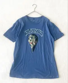 ギルダン GILDAN EAGLES イーグルス バンドTシャツ 2023水色系