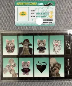 SOPHIA 黒柳能生 入館証 シール ステッカー