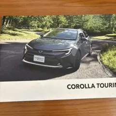 Item thumbnail for item 3eda0034-6062-4aa7-8016-6a1f76332870