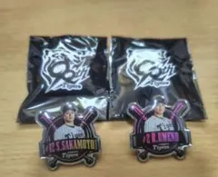 阪神タイガース　ピンバッチ　2個セット