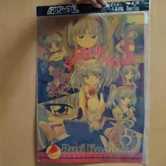 ホシノルリ　B全ポスター　美品暗所保管 Amazon.co.jp: ホシノルリ B3ポスター 交通安全 : おもちゃ