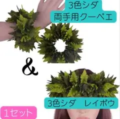 3色シダ　クーペエ&レイポウ　セット　フラダンス用