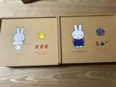 ミッフィー　メモリアルボックス　フェリシモ