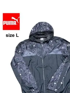 Item thumbnail for item 03703764-6625-4979-b42e-b2ca0702373f