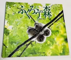 ふくろうの森　送料無料　即購入可能