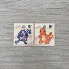 ポケモン　アップリケ
