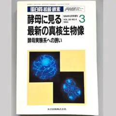 Item thumbnail for item 47955360-54a4-457c-b74f-df125a501aff