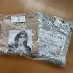 Item thumbnail for item 69370121-b0fc-46a4-b5a3-649d877d4483