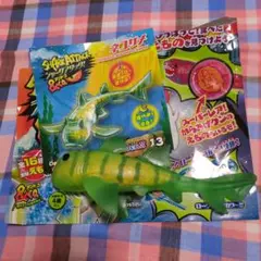 シャークアタックアンドコ ネコザメ