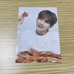 SEVENTEEN ode to you ジョシュア トレカ②