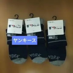 Item thumbnail for item 72f98fa9-6dbb-4f59-818b-4855c368cd26