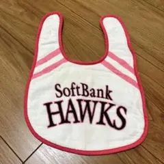 SoftBank Hawks スタイ