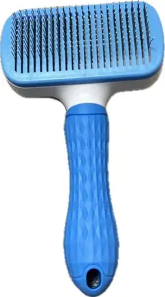 Item thumbnail for item b1822365-e120-4aaa-9d56-d2ffaa372cd7