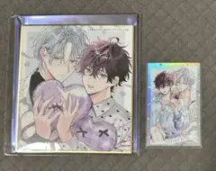 佐倉リコ drap 25周年展 ミニ色紙 オーロラカード セット